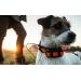 Alpha 100 + T5 (mini) + SK/EU TOPO + vívoactive za 124,90€