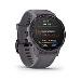 fenix 6S Pro Solar, Amethyst Steel, Shale Gray Band