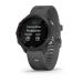 Forerunner 245, Slate