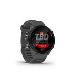 Forerunner 55, Monterra Grey