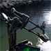 LiveScope 2 HD - LVS42HD sonda