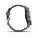 vivoactive 4 Shadow Gray/Silver