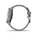 vivoactive 4S Powder Gray/Silver