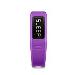 vívofit purple
