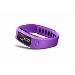 vívofit purple